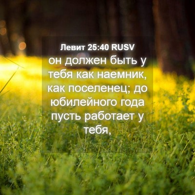 Picture 04 - Левит 25:40 RUSV - он должен быть у тебя как - Bible Verse Picture
