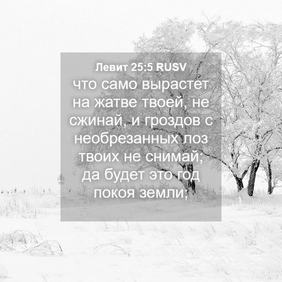 Picture 04 - Левит 25:5 RUSV - что само вырастет на жатве - Bible Verse Picture