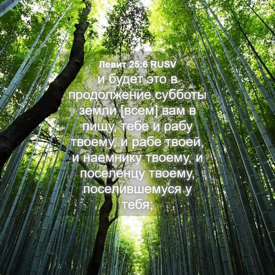 Picture 04 - Левит 25:6 RUSV - и будет это в продолжение - Bible Verse Picture
