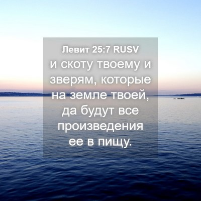 Picture 04 - Левит 25:7 RUSV - и скоту твоему и зверям, - Bible Verse Picture