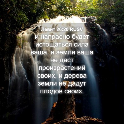 Picture 04 - Левит 26:20 RUSV - и напрасно будет - Bible Verse Picture