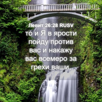 Picture 04 - Левит 26:28 RUSV - то и Я в ярости пойду - Bible Verse Picture