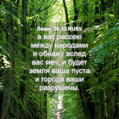 Picture 04 - Левит 26:33 RUSV - а вас рассею между - Bible Verse Picture
