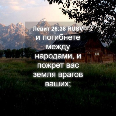 Picture 04 - Левит 26:38 RUSV - и погибнете между - Bible Verse Picture