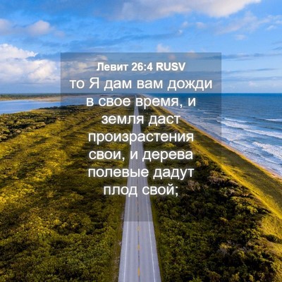 Picture 04 - Левит 26:4 RUSV - то Я дам вам дожди в свое - Bible Verse Picture