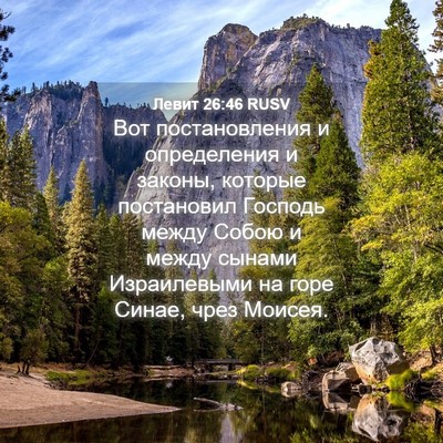 Picture 04 - Левит 26:46 RUSV - Вот постановления и - Bible Verse Picture