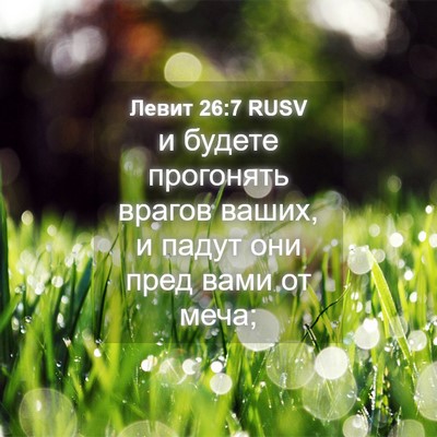 Picture 04 - Левит 26:7 RUSV - и будете прогонять врагов - Bible Verse Picture