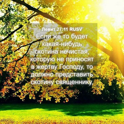Picture 04 - Левит 27:11 RUSV - Если же то будет - Bible Verse Picture