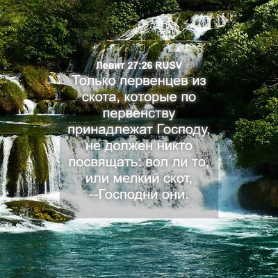 Picture 04 - Левит 27:26 RUSV - Только первенцев из скота, - Bible Verse Picture