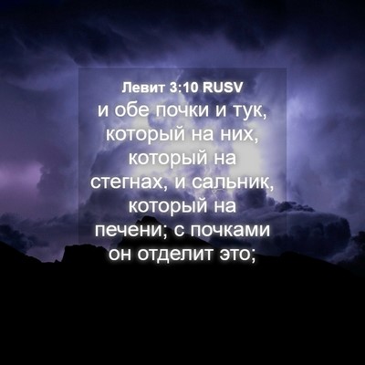 Picture 04 - Левит 3:10 RUSV - и обе почки и тук, который - Bible Verse Picture
