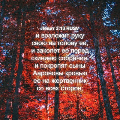 Picture 04 - Левит 3:13 RUSV - и возложит руку свою на - Bible Verse Picture