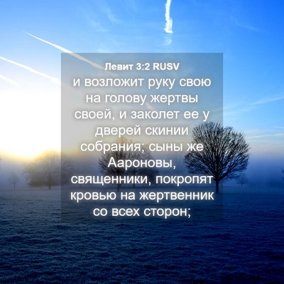 Picture 04 - Левит 3:2 RUSV - и возложит руку свою на - Bible Verse Picture