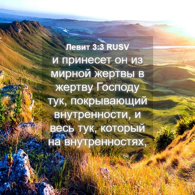 Picture 04 - Левит 3:3 RUSV - и принесет он из мирной - Bible Verse Picture