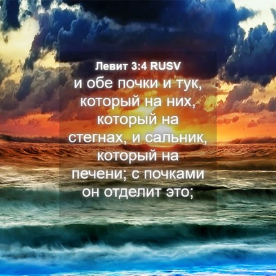 Picture 04 - Левит 3:4 RUSV - и обе почки и тук, который - Bible Verse Picture