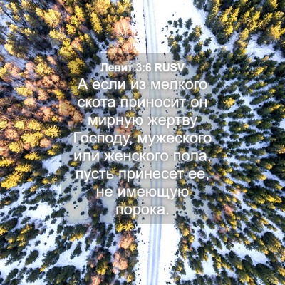 Picture 04 - Левит 3:6 RUSV - А если из мелкого скота - Bible Verse Picture
