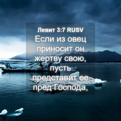 Picture 04 - Левит 3:7 RUSV - Если из овец приносит он - Bible Verse Picture