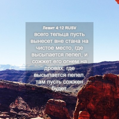 Picture 04 - Левит 4:12 RUSV - всего тельца пусть вынесет - Bible Verse Picture