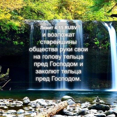 Picture 04 - Левит 4:15 RUSV - и возложат старейшины - Bible Verse Picture