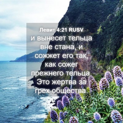 Picture 04 - Левит 4:21 RUSV - и вынесет тельца вне стана, - Bible Verse Picture