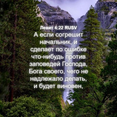 Picture 04 - Левит 4:22 RUSV - А если согрешит начальник, - Bible Verse Picture