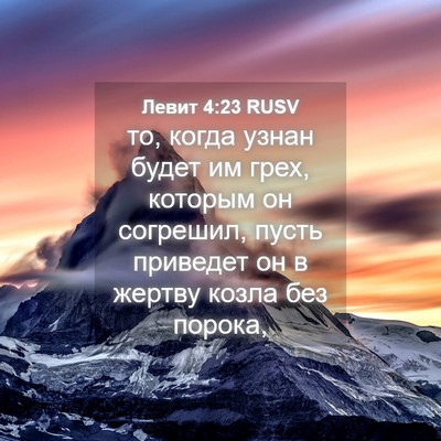 Picture 04 - Левит 4:23 RUSV - то, когда узнан будет им - Bible Verse Picture