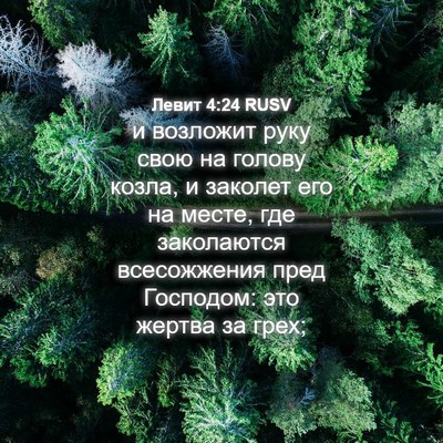 Picture 04 - Левит 4:24 RUSV - и возложит руку свою на - Bible Verse Picture