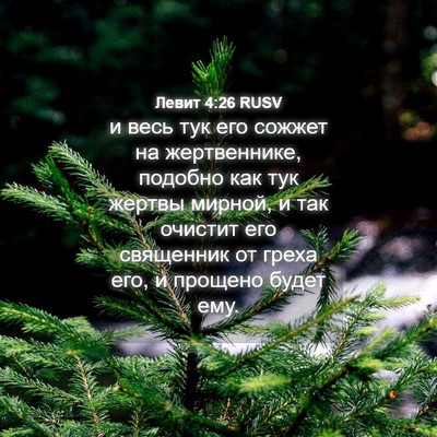 Picture 04 - Левит 4:26 RUSV - и весь тук его сожжет на - Bible Verse Picture