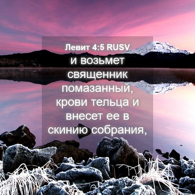Picture 04 - Левит 4:5 RUSV - и возьмет священник - Bible Verse Picture