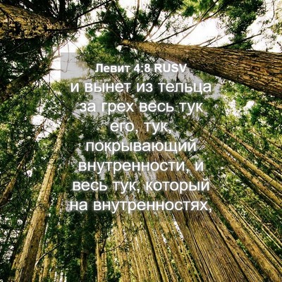 Picture 04 - Левит 4:8 RUSV - и вынет из тельца за грех - Bible Verse Picture
