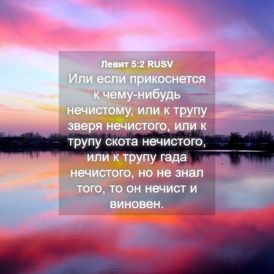 Picture 04 - Левит 5:2 RUSV - Или если прикоснется к - Bible Verse Picture