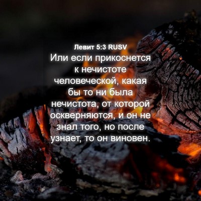 Picture 04 - Левит 5:3 RUSV - Или если прикоснется к - Bible Verse Picture