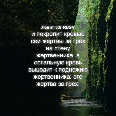 Picture 04 - Левит 5:9 RUSV - и покропит кровью сей - Bible Verse Picture