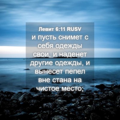 Picture 04 - Левит 6:11 RUSV - и пусть снимет с себя - Bible Verse Picture