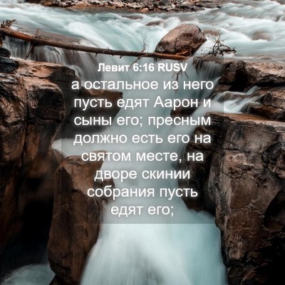 Picture 04 - Левит 6:16 RUSV - а остальное из него пусть - Bible Verse Picture
