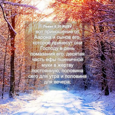 Picture 04 - Левит 6:20 RUSV - вот приношение от Аарона и - Bible Verse Picture