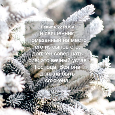 Picture 04 - Левит 6:22 RUSV - и священник, помазанный на - Bible Verse Picture