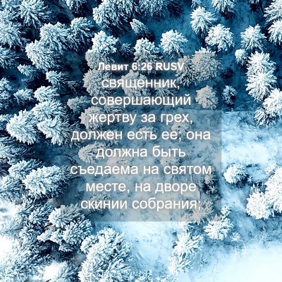 Picture 04 - Левит 6:26 RUSV - священник, совершающий - Bible Verse Picture