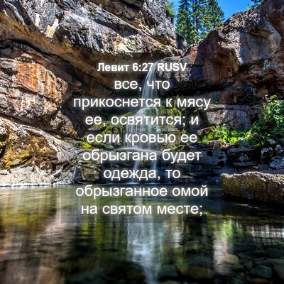Picture 04 - Левит 6:27 RUSV - все, что прикоснется к мясу - Bible Verse Picture