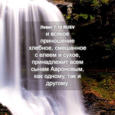 Picture 04 - Левит 7:10 RUSV - и всякое приношение - Bible Verse Picture