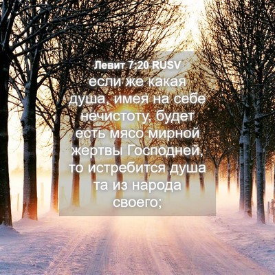 Picture 04 - Левит 7:20 RUSV - если же какая душа, имея на - Bible Verse Picture