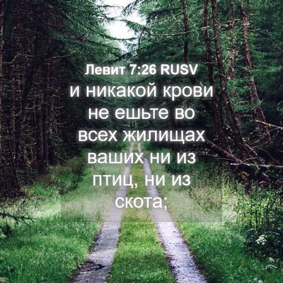 Picture 04 - Левит 7:26 RUSV - и никакой крови не ешьте во - Bible Verse Picture