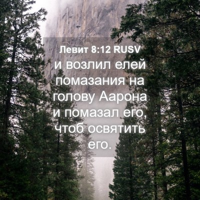 Picture 04 - Левит 8:12 RUSV - и возлил елей помазания на - Bible Verse Picture