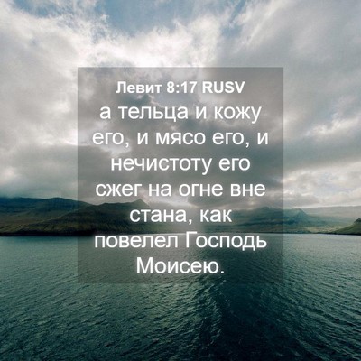 Picture 04 - Левит 8:17 RUSV - а тельца и кожу его, и мясо - Bible Verse Picture