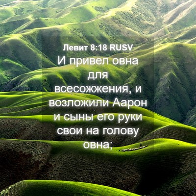 Picture 04 - Левит 8:18 RUSV - И привел овна для - Bible Verse Picture