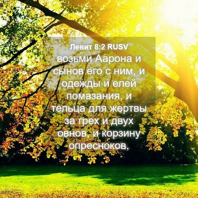 Picture 04 - Левит 8:2 RUSV - возьми Аарона и сынов его с - Bible Verse Picture