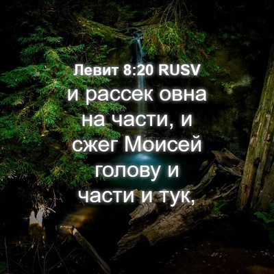 Picture 04 - Левит 8:20 RUSV - и рассек овна на части, и - Bible Verse Picture