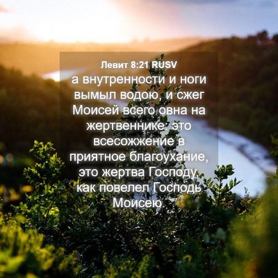 Picture 04 - Левит 8:21 RUSV - а внутренности и ноги - Bible Verse Picture