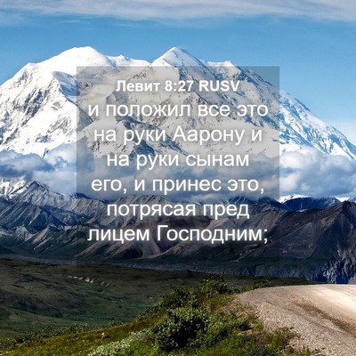 Picture 04 - Левит 8:27 RUSV - и положил все это на руки - Bible Verse Picture