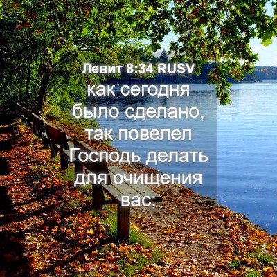 Picture 04 - Левит 8:34 RUSV - как сегодня было сделано, - Bible Verse Picture