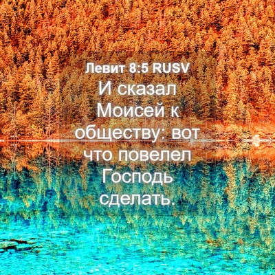 Picture 04 - Левит 8:5 RUSV - И сказал Моисей к обществу: - Bible Verse Picture